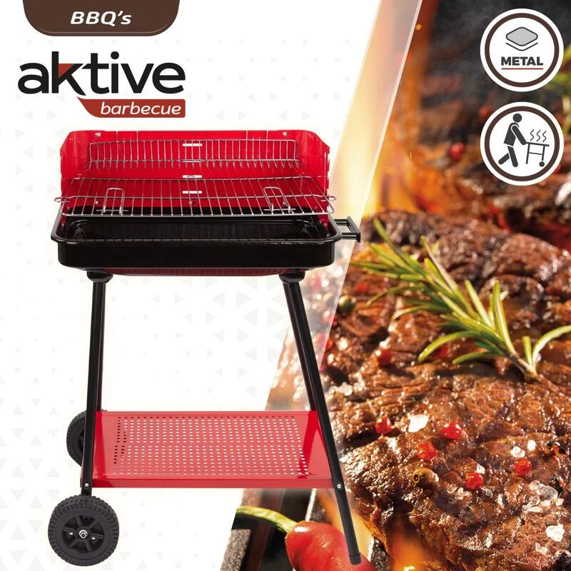 Barbecue Portable Au Charbon De Bois Pour 4 Niveaux Aktive - Image 2