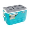 Igloo Arcón/ Glacière Portable Rigide 57 Litres